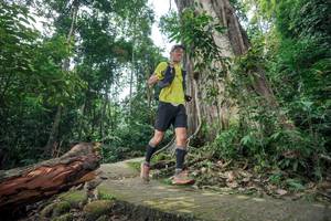 BIB: 
                            <button type="button" onclick="openModal(24809471)" class="btn btn-primary btn-sm float-right btn-popup" data-toggle="modal" data-target=".modal-high-quality">
                        <i class="fas fa-shopping-cart"></i> Add to Cart
                    </button>
                                            <button type="button" onclick="isThisMe(24809471, true)" class="btn btn-success btn-sm float-right btn-popup btn-isme hidden" data-toggle="tooltip" data-placement="bottom" title="นี่คือรูปของคุณใช่ไหม คลิกที่นี่เพื่อเอาเข้าอัลบั้ม">
                        <i class="fas fa-plus"></i> Add to album
                    </button>
                    <button type="button" onclick="isThisMe(24809471, false)" class="btn btn-warning btn-sm float-right btn-popup btn-isnotme hidden">
                        <i class="fas fa-ban"></i> Remove from album
                    </button>